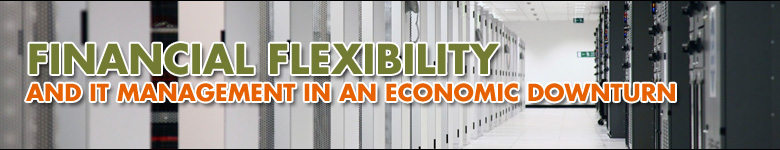 Financial Flexibilty and IT Management in an Economic Downturn